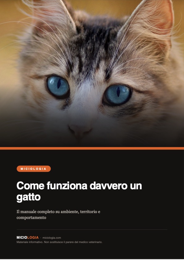 Copertina del manuale Come funziona davvero un gatto
